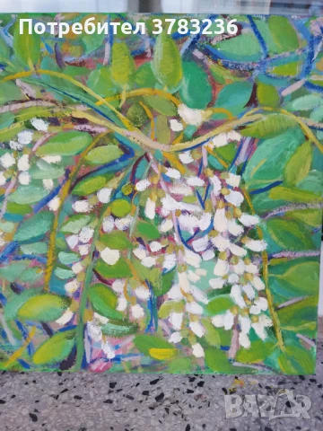 картини с маслени бои, снимка 3 - Картини - 51357899