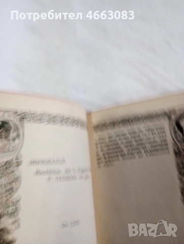 Стара библия , снимка 5 - Антикварни и старинни предмети - 53031356