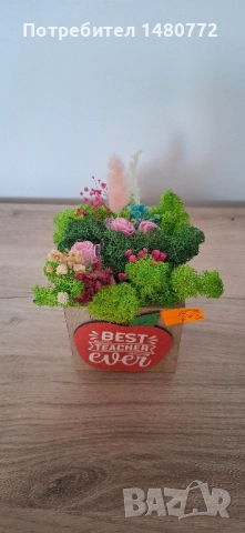 Дървени кашпи със скандинавски мъх за учител, снимка 2 - Декорация за дома - 51483212