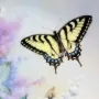 Винтидж порцеланова, колекционерска чиния от Lena Liu "Western Tiger Swallowtails" , снимка 3