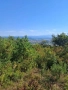 парцел гр.Севлиево,1560 кв.м ,местност "Крушевски баир ", снимка 1