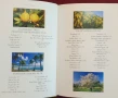Справочник на дърветата по света / A Concise Guide to Trees, снимка 3
