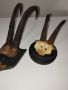 трофеи от дива коза, снимка 1 - Антикварни и старинни предмети - 45664252