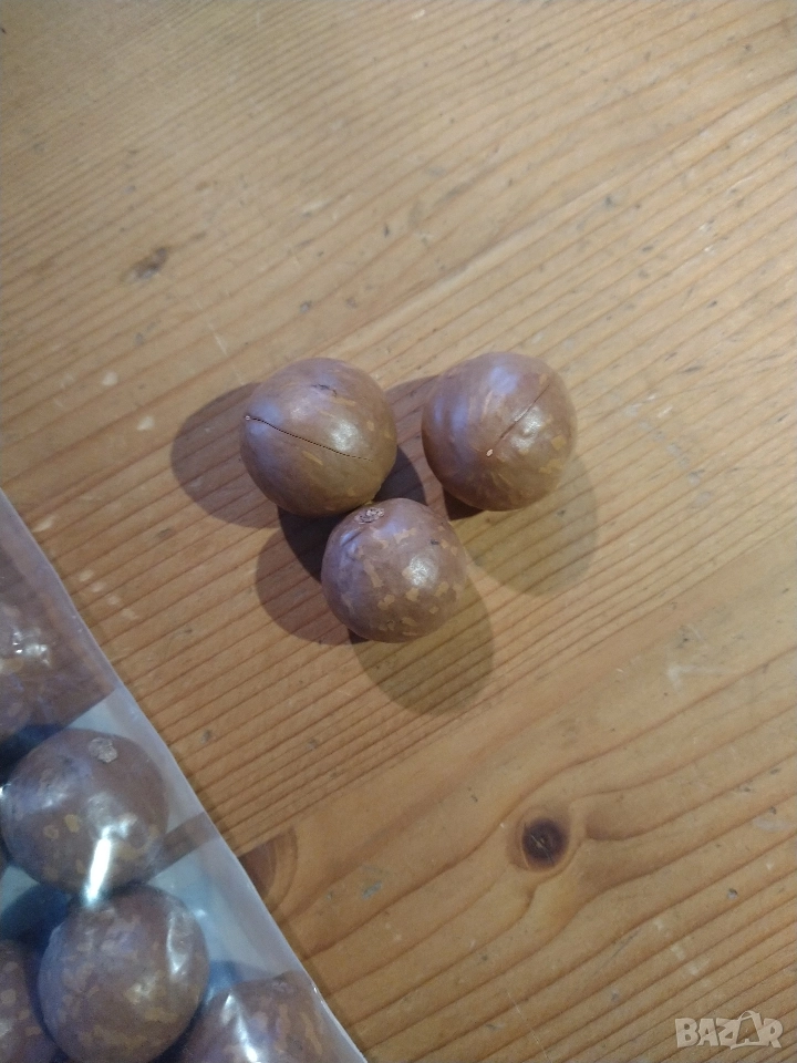 Макадамия с черупка, снимка 1