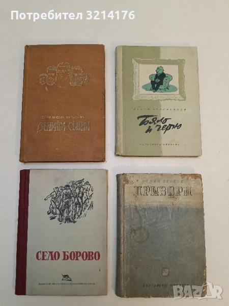 Село Борово - Крум Велков (1949), снимка 1