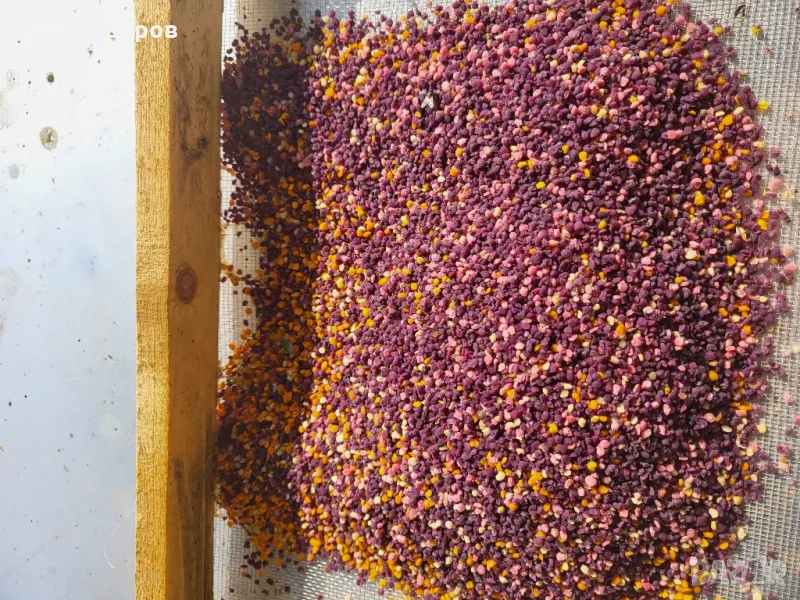 Пчелен прашец и мед 2025г - директно от пчеларя!, снимка 1