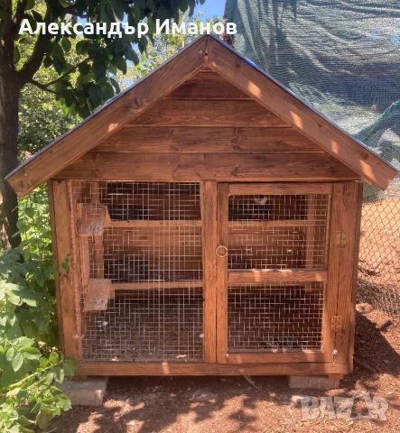 Гълабарник, снимка 1