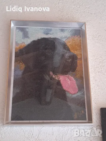 Диамантен гоблен черен лабрадор-готов и рамкиран