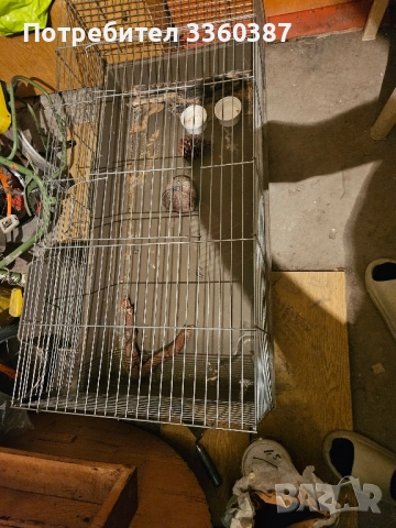 голяма клетка за заек или друг гризач, снимка 2 - Други - 52100007