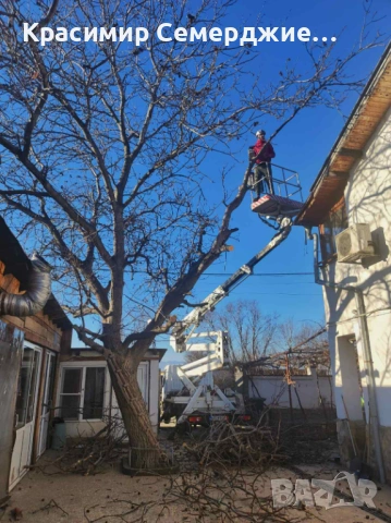 Рязане, кастрене и премахване на опасни и високи дървета в Пазарджик и околността, снимка 8 - Други услуги - 48948613