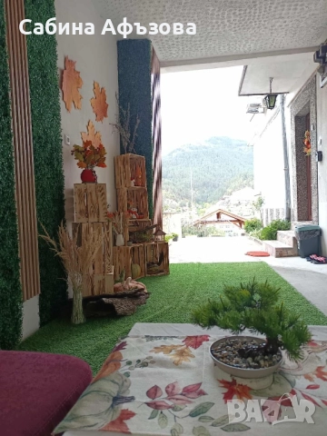 Нощувки “Феникс”, снимка 18 - Квартири, нощувки - 51197995