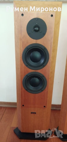 Dynaudio Facette , снимка 7 - Тонколони - 50576337