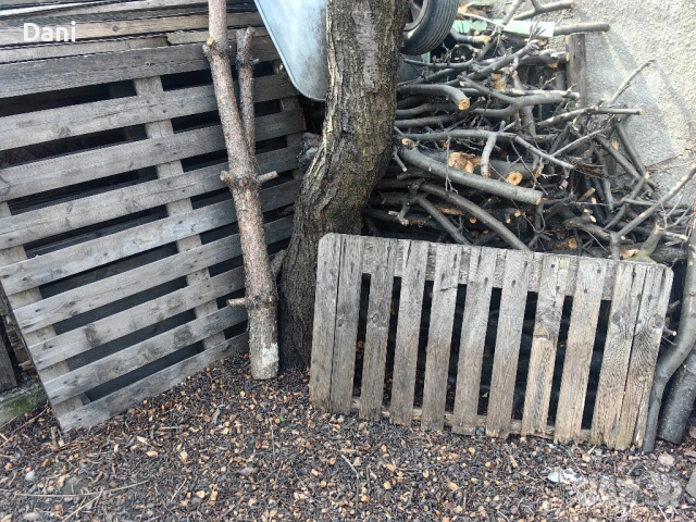 Подарявам дърва