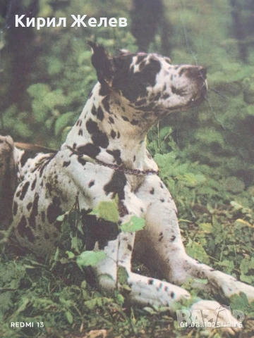 Старо календарче серия ЖИВОТНИ КУЧЕТА 88г. Рига Латвия за КОЛЕКЦИЯ 11191, снимка 2 - Колекции - 51217475