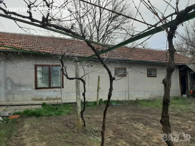 Продавам къща в село Ушинци, община Разград, снимка 3 - Къщи - 49520747