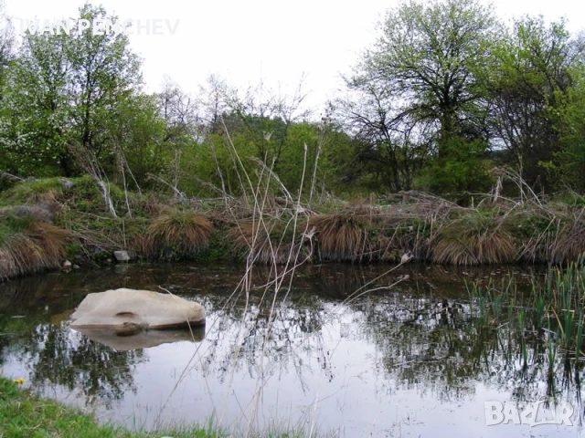 Продавам малка вила , снимка 5 - Вили - 53089897