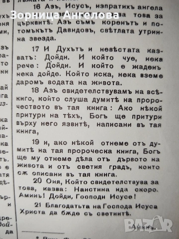 Рядко срещана протестантска Библия (Стар и Нов Завет), Стар правопис, снимка 5 - Колекции - 53332548