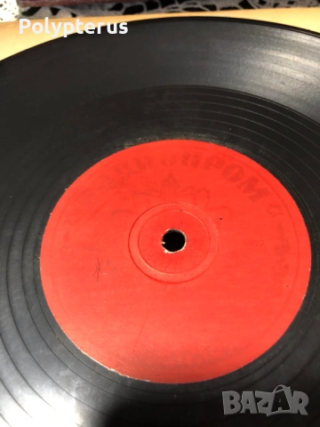 Стара българска шеллакова плоча