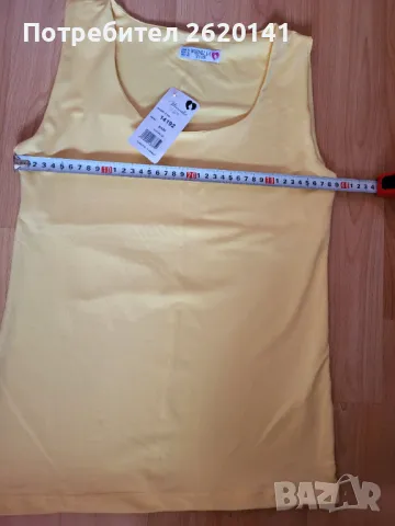 Потник, снимка 4 - Потници - 50124068