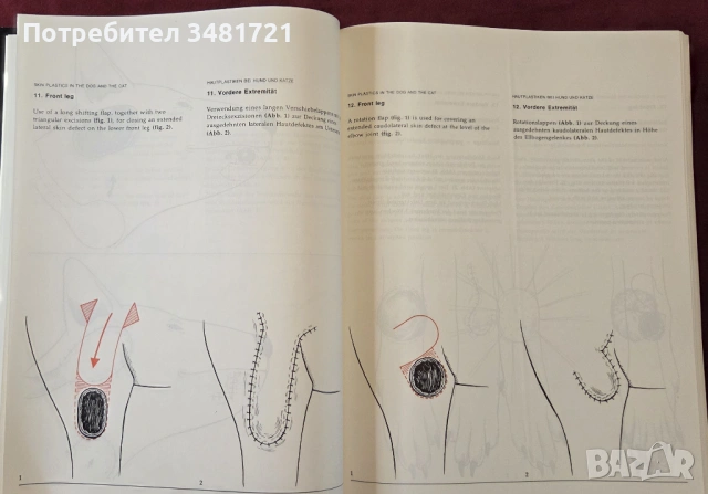 Atlas of Small Animal Surgery. Surgical Techniques for Practitioners, снимка 7 - Специализирана литература - 53748209