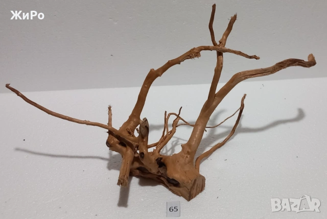 Корен от Азалия /декорация/ 65, снимка 3 - Други - 54102447