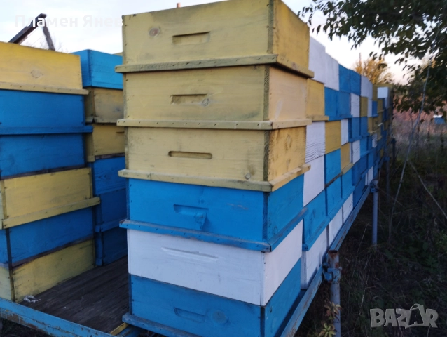 Магазини 10 рамкови