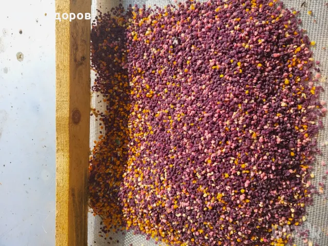 Пчелен прашец и мед 2025г - директно от пчеларя!, снимка 1