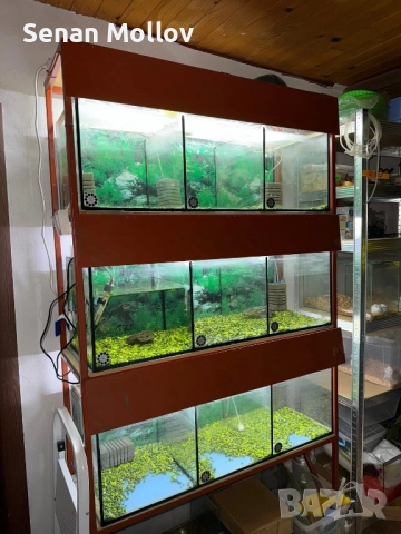 Стелаж с аквариуми 