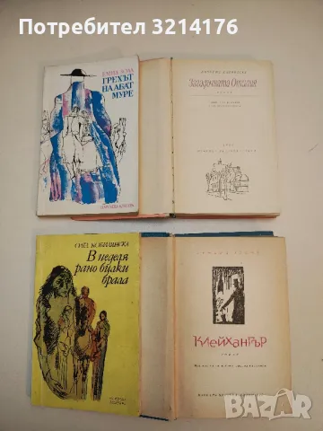 Тройното правило - Алберт Коен, снимка 2 - Художествена литература - 49824335