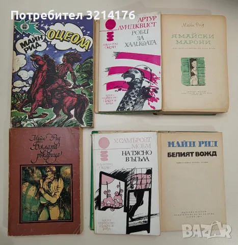 Среща в океана - Александър Плотников, снимка 16 - Художествена литература - 47606886