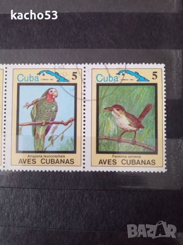 1983 г. Ендемични птици.  Куба., снимка 4 - Филателия - 45451363