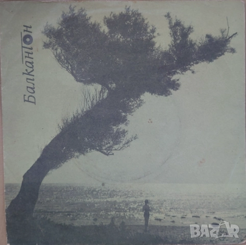 Грамофонни плочи 7" сингли Балкантон цени в обявата, снимка 5 - Грамофонни плочи - 45650688