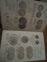 Каталог на модерните световни монети 53710, снимка 12