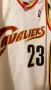 Мъжки баскетболен потник на James Lebron 2003-2004, снимка 8