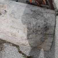 Старо дървено корито, снимка 13 - Други ценни предмети - 45358536