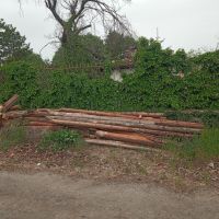 Дървен материал , снимка 2 - Други - 45298100