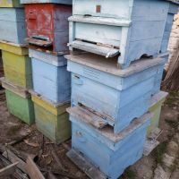 Пчелни кошери, ДБ-12 рамкови, в комплект с по 1 магазин, снимка 5 - За пчели - 42385144