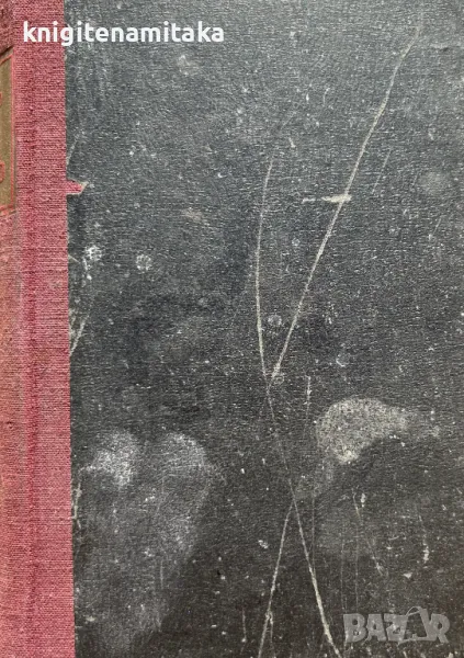 Пушкинъ - Юрий Тинянов, снимка 1