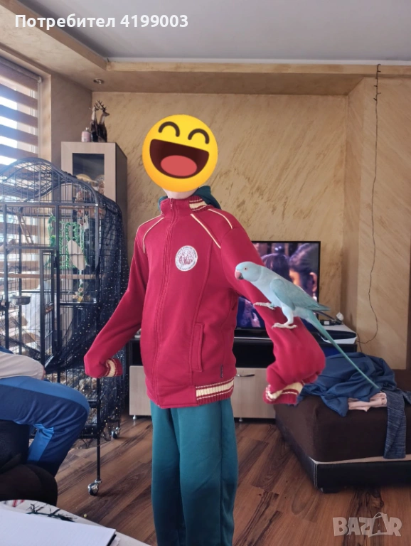 Продавам папагал вид Малък Александър + клетката, снимка 1