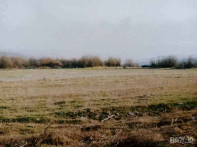 Продавам 3 дка земеделска земя-15 000 € , снимка 1