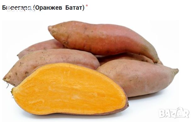 Сладки картофи (Батати) и Гурме картофи - Органичното отглеждане., снимка 1