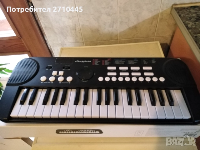 Детска йоника с 37 клавиша, снимка 2 - Музикални играчки - 51580892