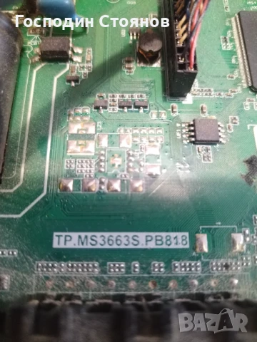 TP. MS 3663 S. PB818