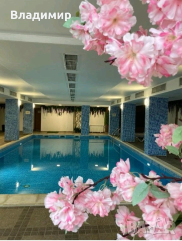 Уютно студио в Пампорово за нощувки , снимка 12 - Квартири, нощувки - 52339714