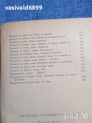 Хектор Мало - Без дом , снимка 6 - Художествена литература - 52622613