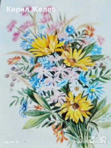 Старо календарче 86г. серия ЦВЕТЯ много красиво за КОЛЕКЦИЯ ДЕКОРАЦИЯ 35329, снимка 2 - Колекции - 51223883