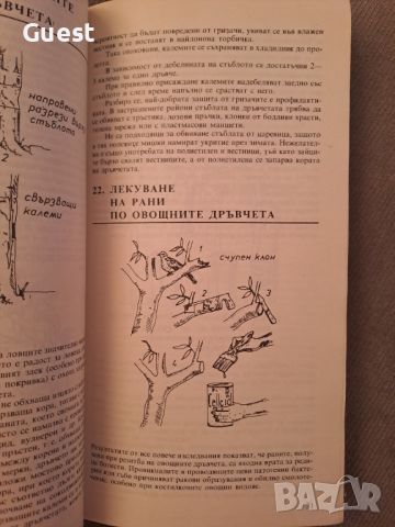 Тънкости в градинарството, снимка 2 - Специализирана литература - 46087166