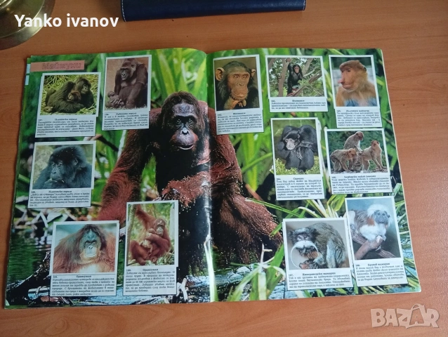 Спасете застрашените животни, снимка 9 - Филателия - 53964540