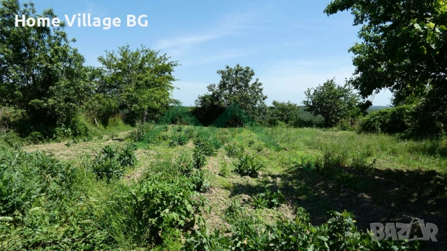 Едноетажна къща с допълнителни постройки, село Господиново , снимка 13 - Къщи - 53229558