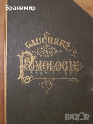 Немска енциклопедия по ботаника от 1894г., снимка 2 - Енциклопедии, справочници - 47324626